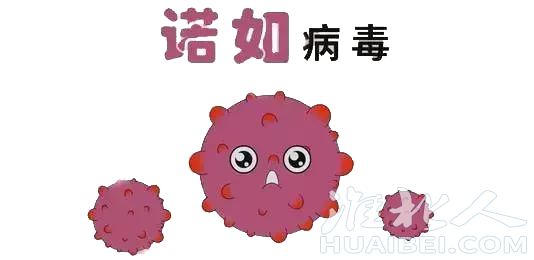 front2_0_1344598_FjgQM9pWCHW2GYU9vB8j4rDuYUqy.1634457229_15_53_50.png