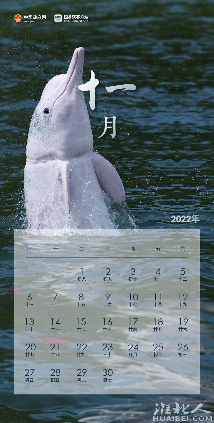 front2_0_1344598_FlcpqFc8C1rU9opi0Rr9OowSNQ8c.1635173854_22_57_35.jpg