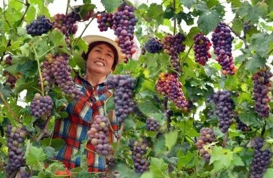 微信图片_20211026084844.jpg