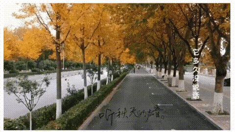 front2_0_1270695_lqMrqdYhkbT28LJXZ7hiiA-hr857.1636077395_09_56_41.gif