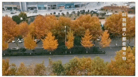 front2_0_1270695_lob4Wvyy9DFPNV0AjeDX5DTjcQb6.1636077395_09_56_44.gif
