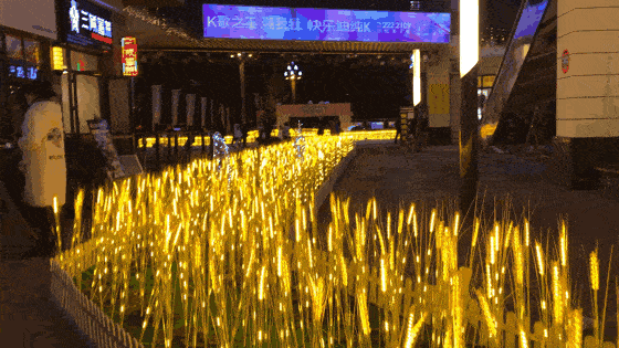 微信图片_20211115094940.gif