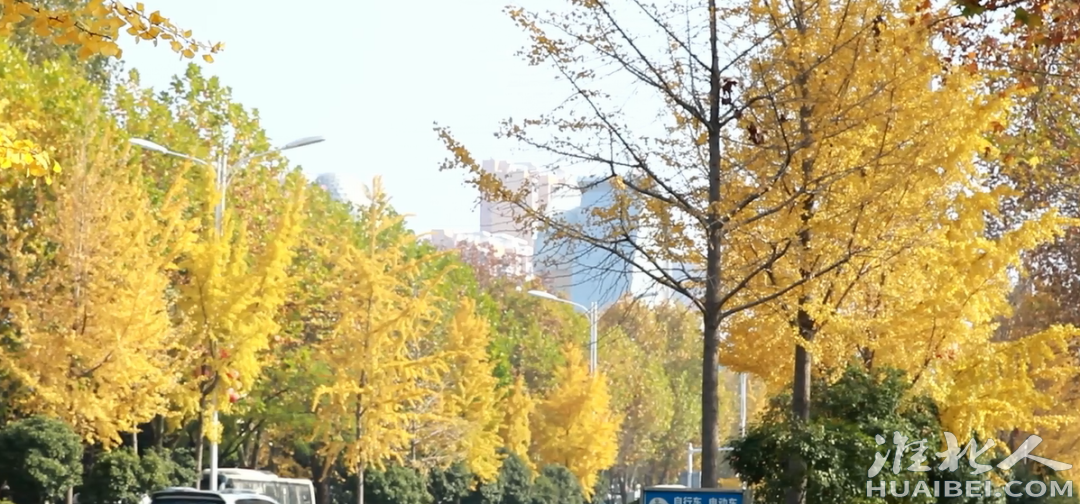 微信图片_20211123093604.png