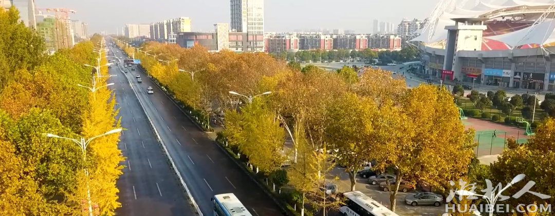 微信图片_20211123093611.png