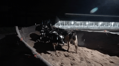 微信图片_20220318090335.gif
