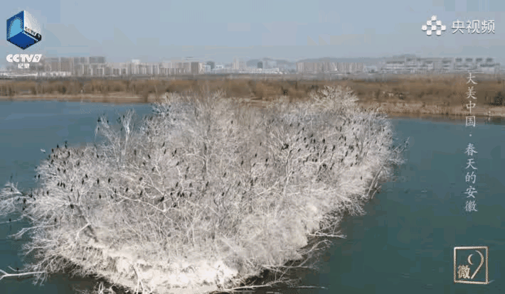 20220321101321front2_0_1262838_lhzmOCFcdIICM0z74NVcrMcRTtAJ.gif