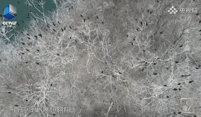 20220321101942front2_0_1262838_ltFHWaEmHN8jnviOPjbrLOLHyiC4.gif