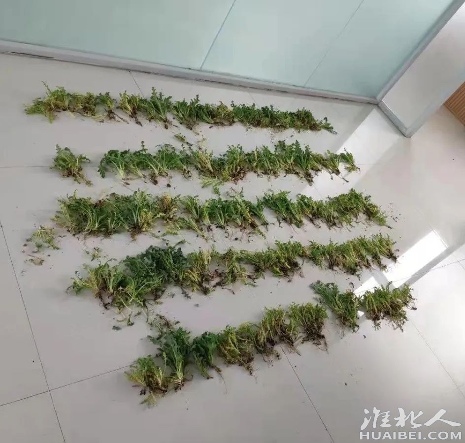 微信图片_20220323162112.jpg