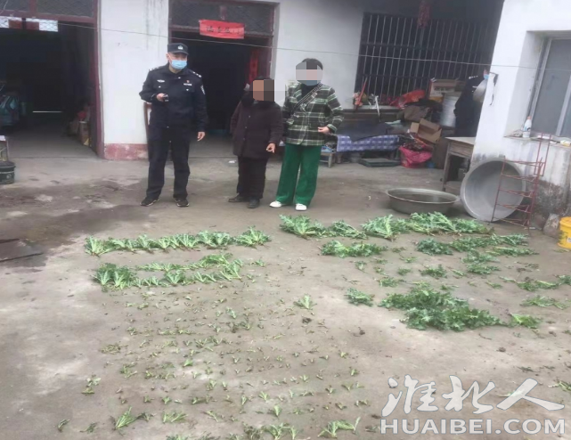 微信图片_20220323162220.png