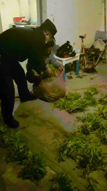 微信图片_20220323162236.gif