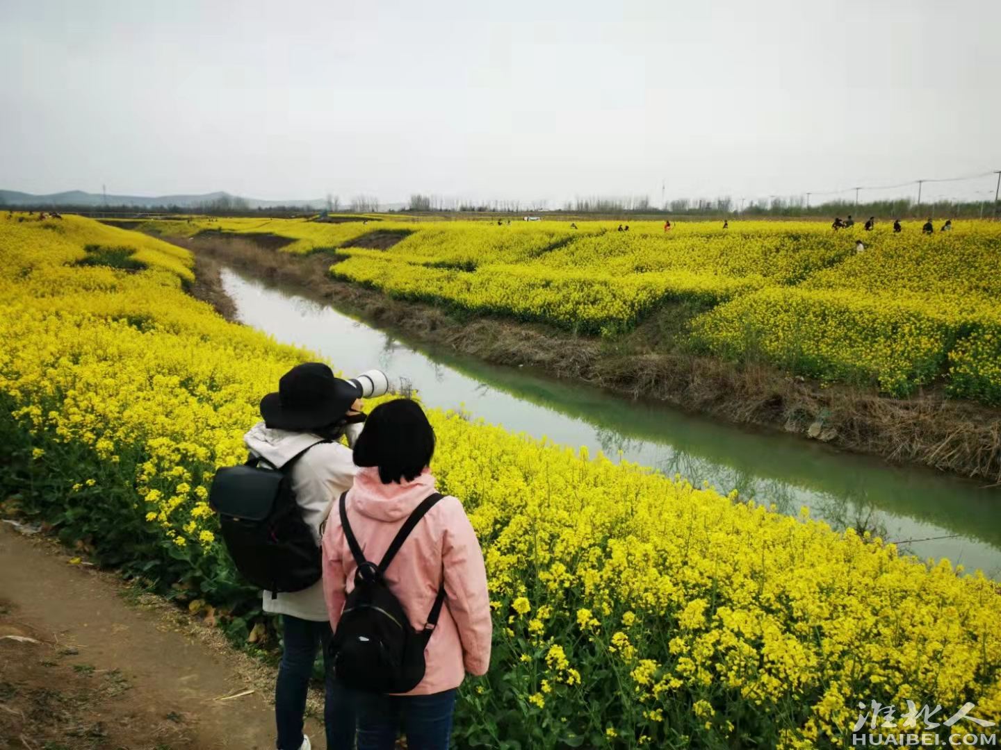 微信图片_20220330110524.png