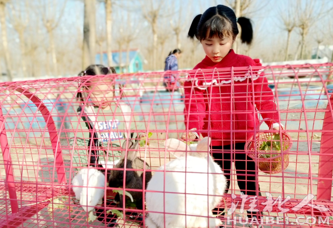 微信截图_20220402090442.png