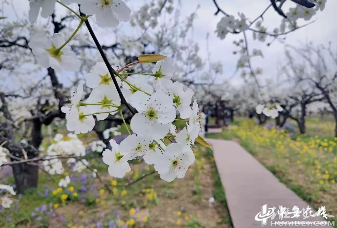 微信图片_20220402112527.jpg