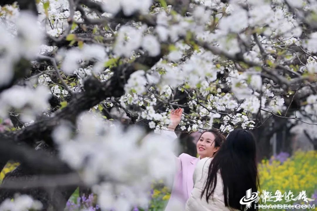 微信图片_20220402112531.jpg