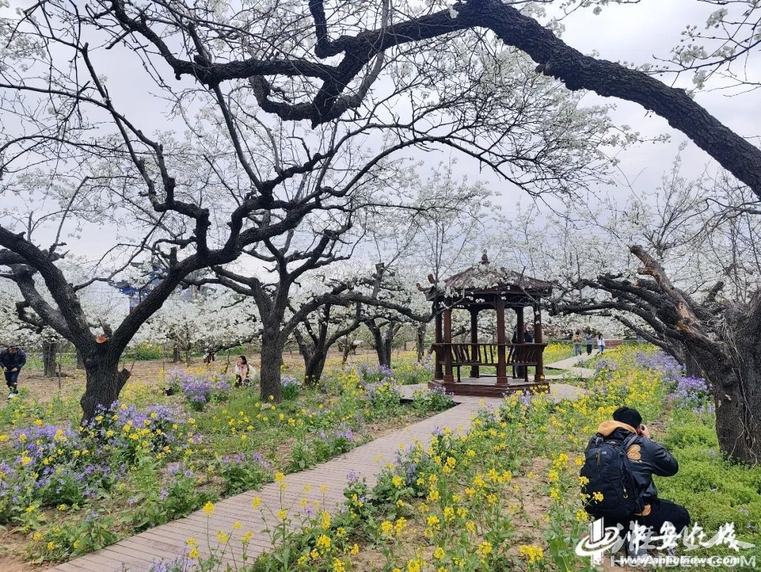 微信图片_20220402112536.jpg