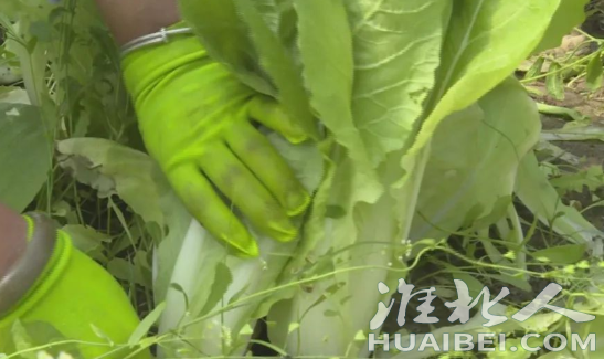 微信截图_20220413160824.png