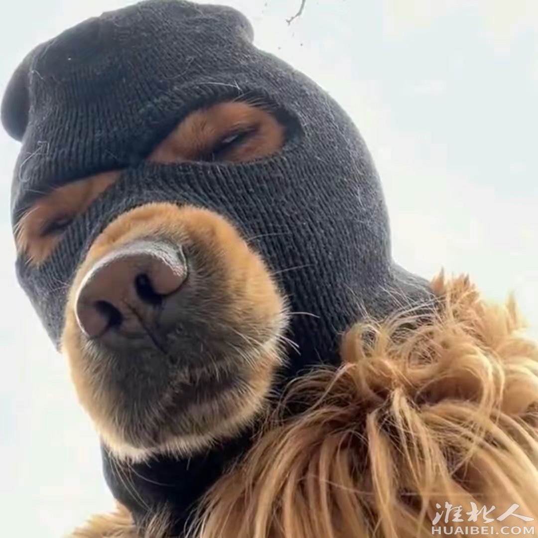 20220729160446front1_0_1341906_FsWpPdsZp_B20E_SzpS_iCXn1kB_.jpg