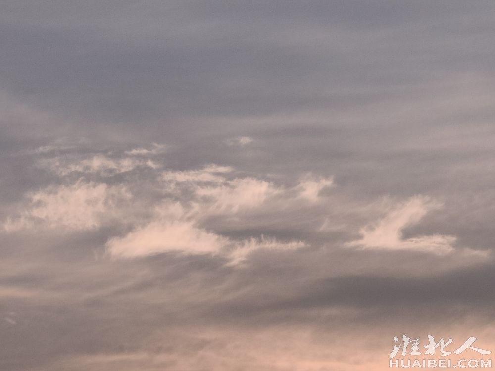 20220801063639front2_0_74401_FhqNbFv5BMQq6Rh6u4J6OaAAu-Tj.jpg