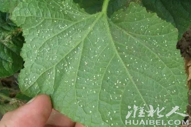 微信图片_20220907142051.jpg