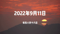 1.gif