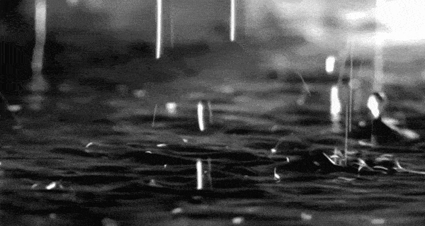 20221003213805front1_0_1280271_FnCi-r3qgmy0Uw2ufB0blgnt4NAM.gif