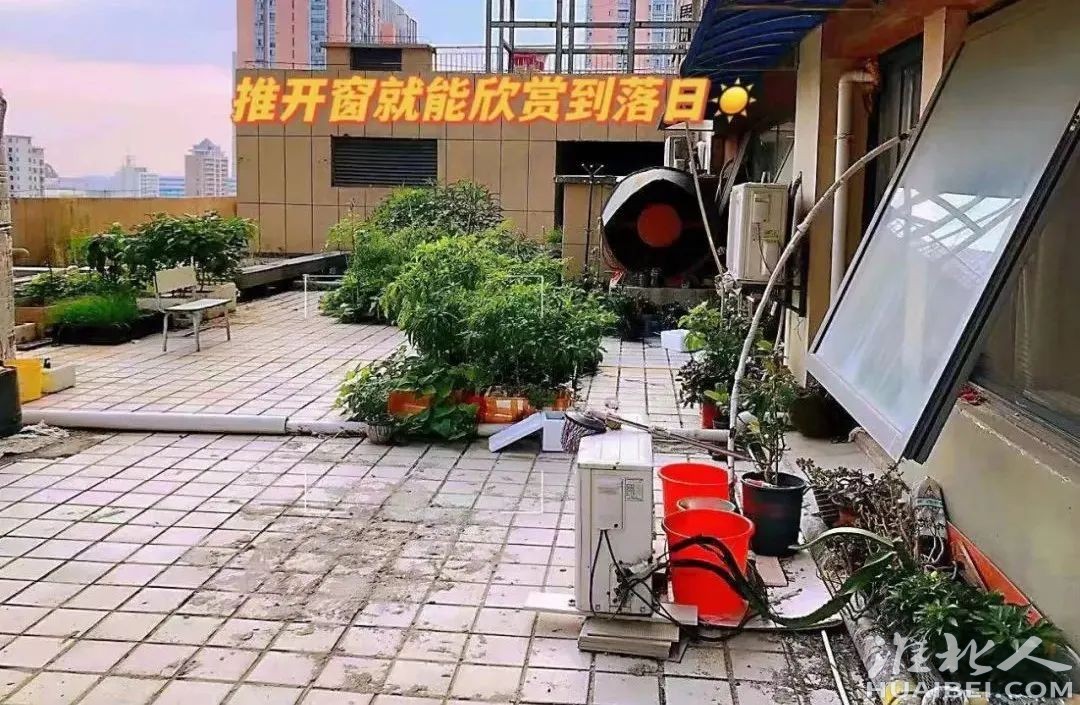 微信图片_20221012091022.jpg