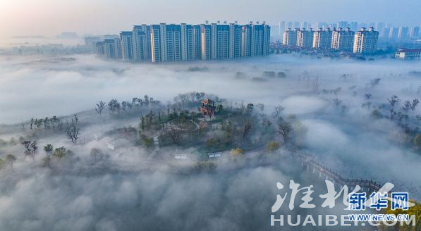 微信截图_20221213151226.png