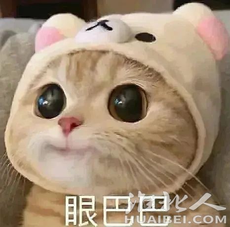 微信图片_20230406104831.jpg