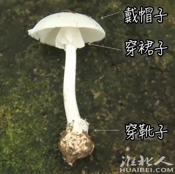 微信图片_20230407082551.jpg