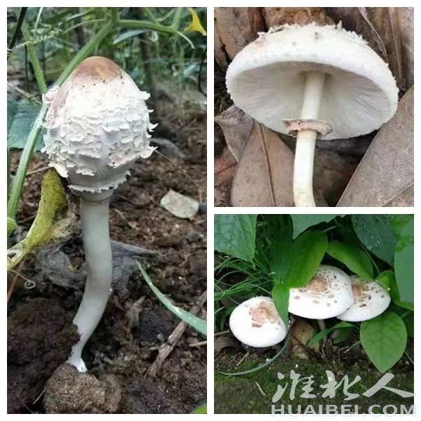 微信图片_20230407082834.jpg