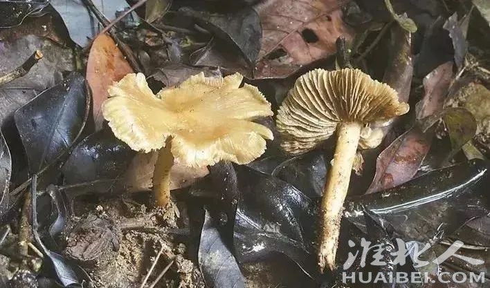 微信图片_20230407083013.jpg