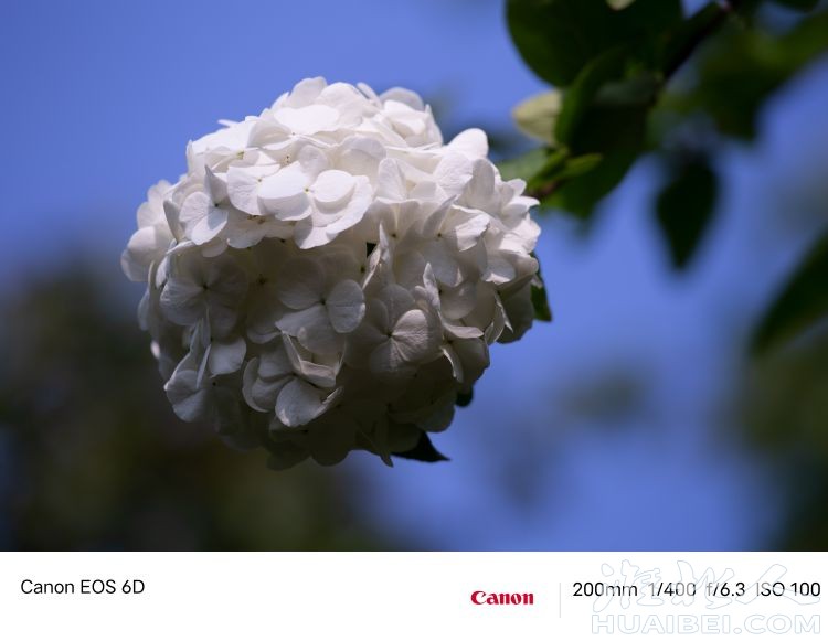 20230409080302front2_0_1264739_FuyiJ0IzbiATJLOsX3aSNp6CoBsJ.jpg