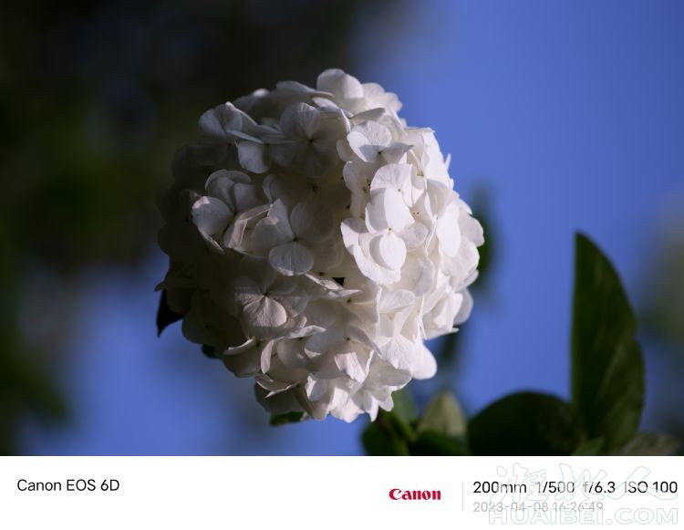 20230409080302front2_0_1264739_Fh5MqU21cw634nm45xeY1N8GcnG1.jpg