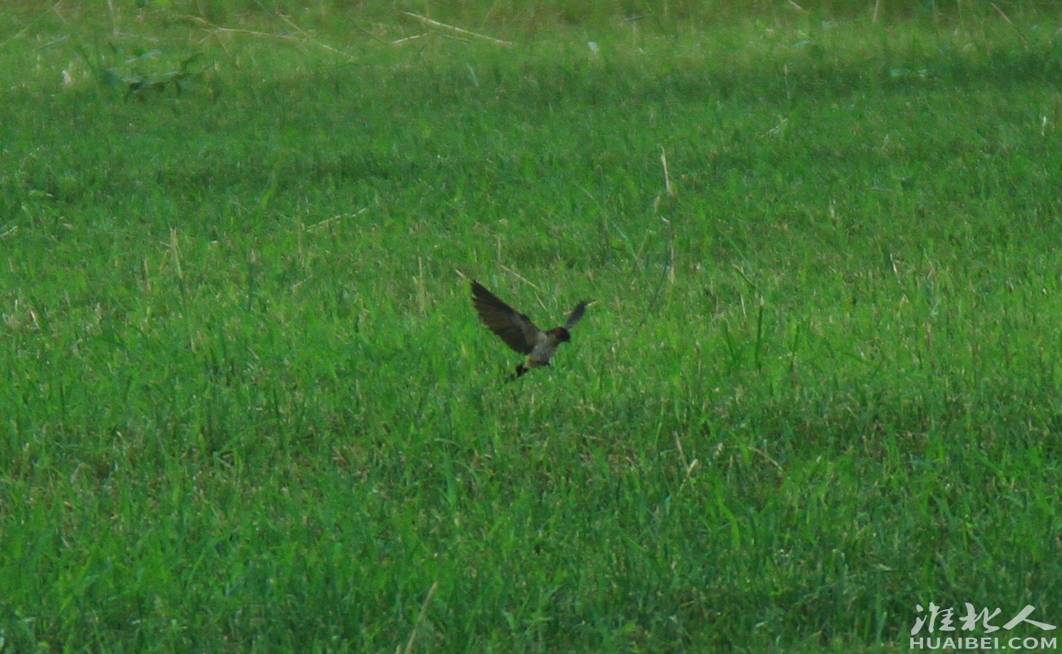 20230715132654front1_0_1277346_Fpv0elZyh7_N2ZRuEbdt1aidmXXn.jpg