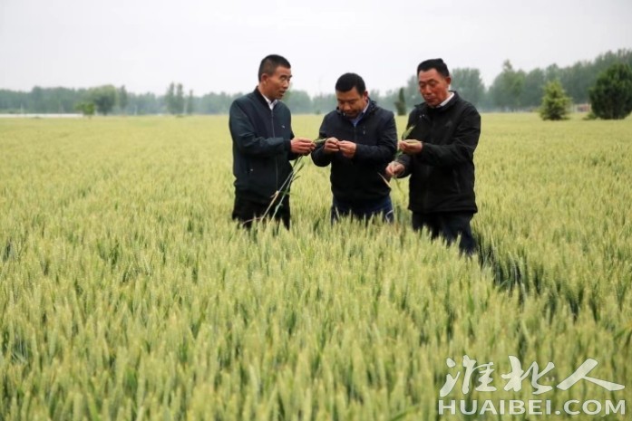 微信截图_20230922090948.png
