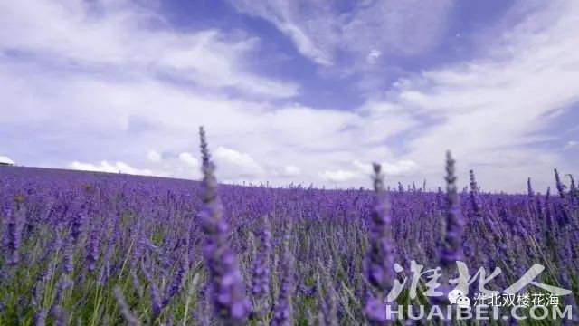 微信图片_20230926171517.jpg