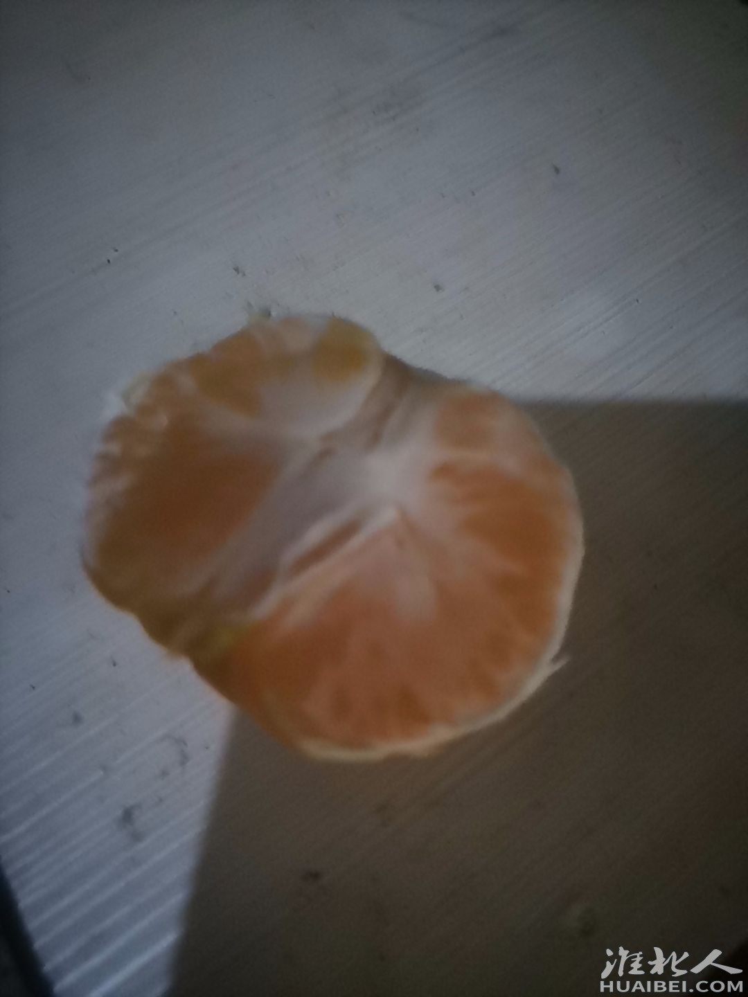 20230928075824front2_0_282787_Fk8OCSP3_BQkWLydaaGSUxsiZxEN.jpg