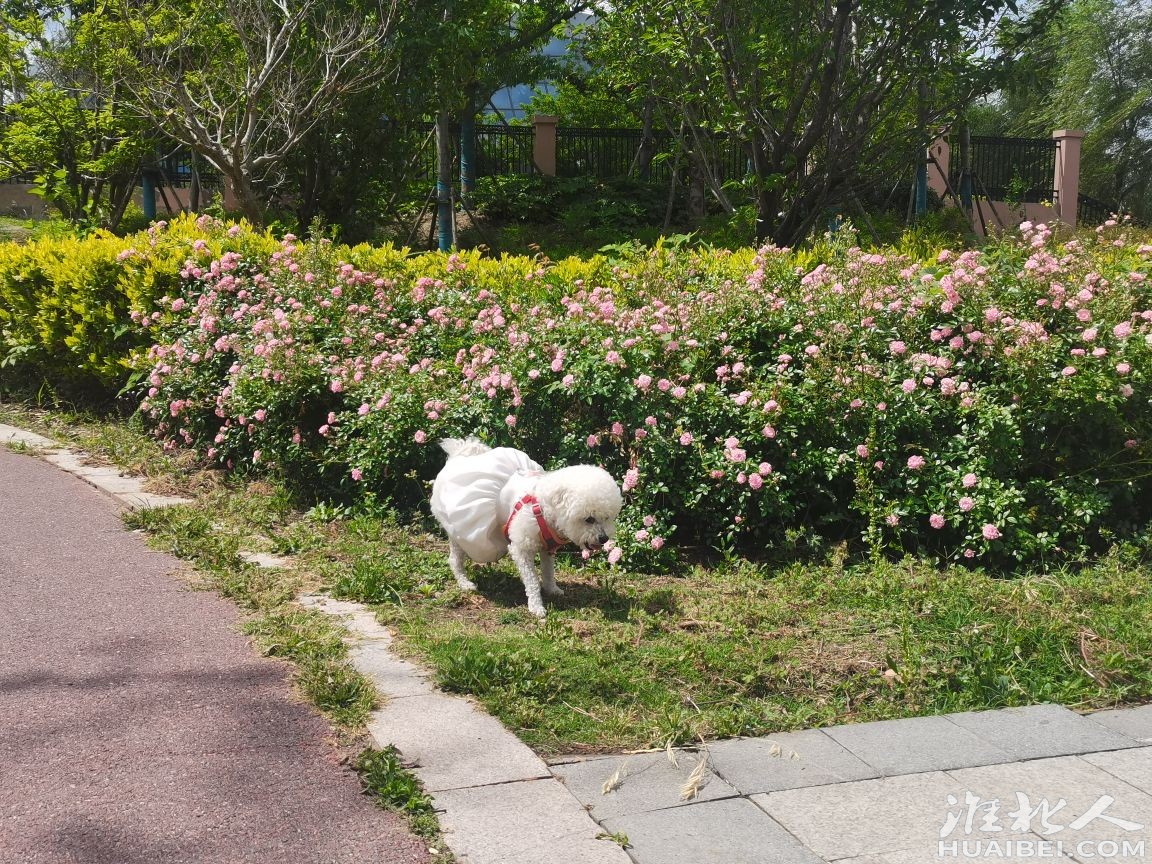 20250510125919front2_0_1364511_Fh5pArUwoI_V975c0MInf8hRwj6K.jpg