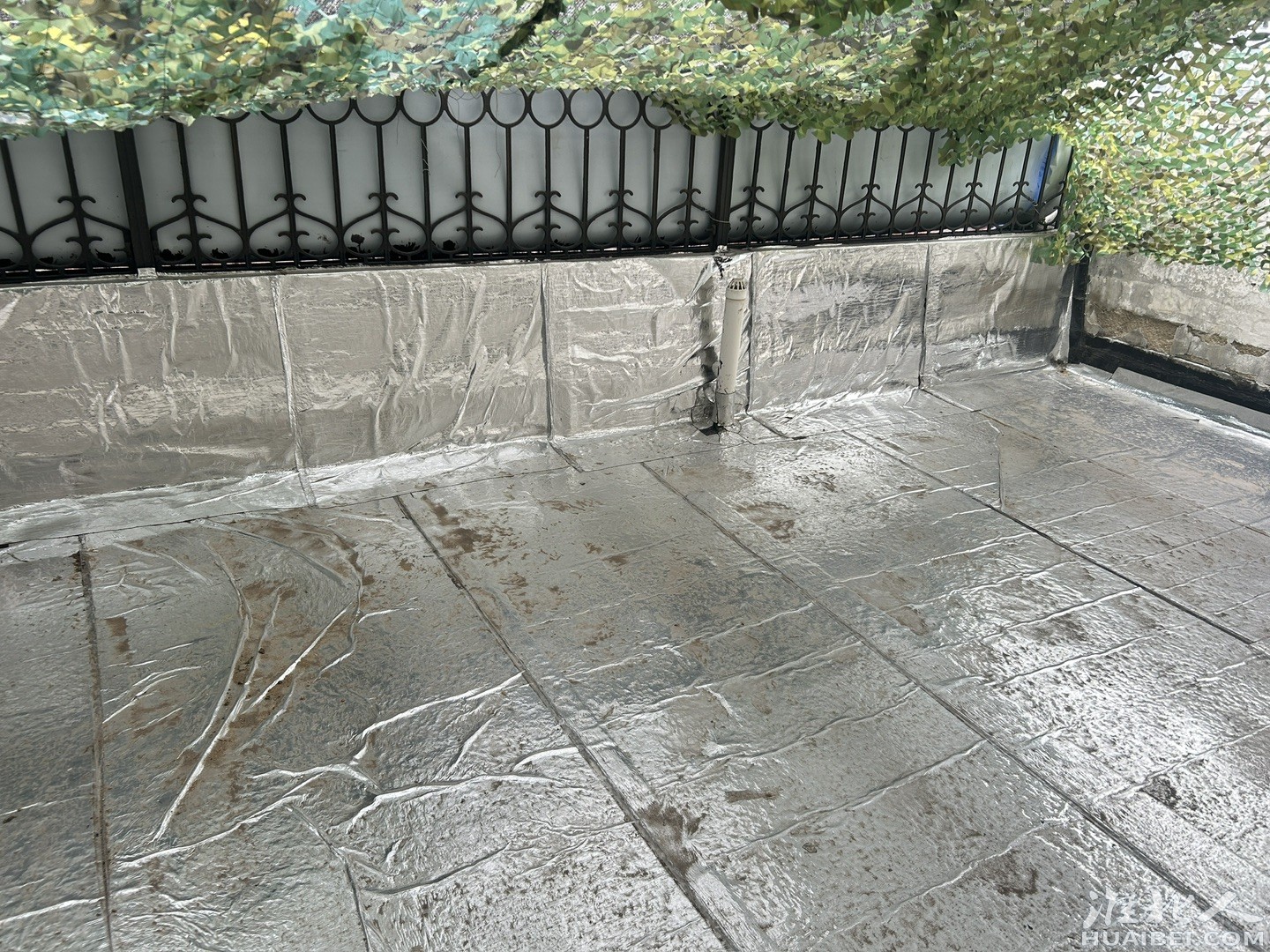 20250608000136front1_0_1364040_FpiiehOUMgnTNaRjL7OOgiLYqABu.jpg