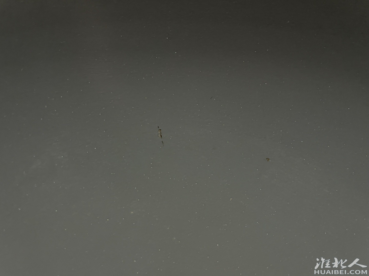 20250803090358front1_0_1364226_FpbfDufs_73ku1yHbBFFXHIH7Lm4.jpg