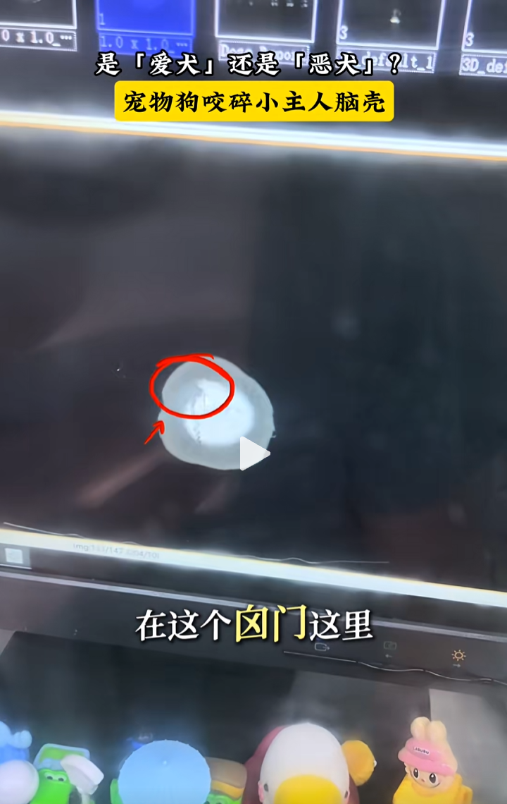 17.png