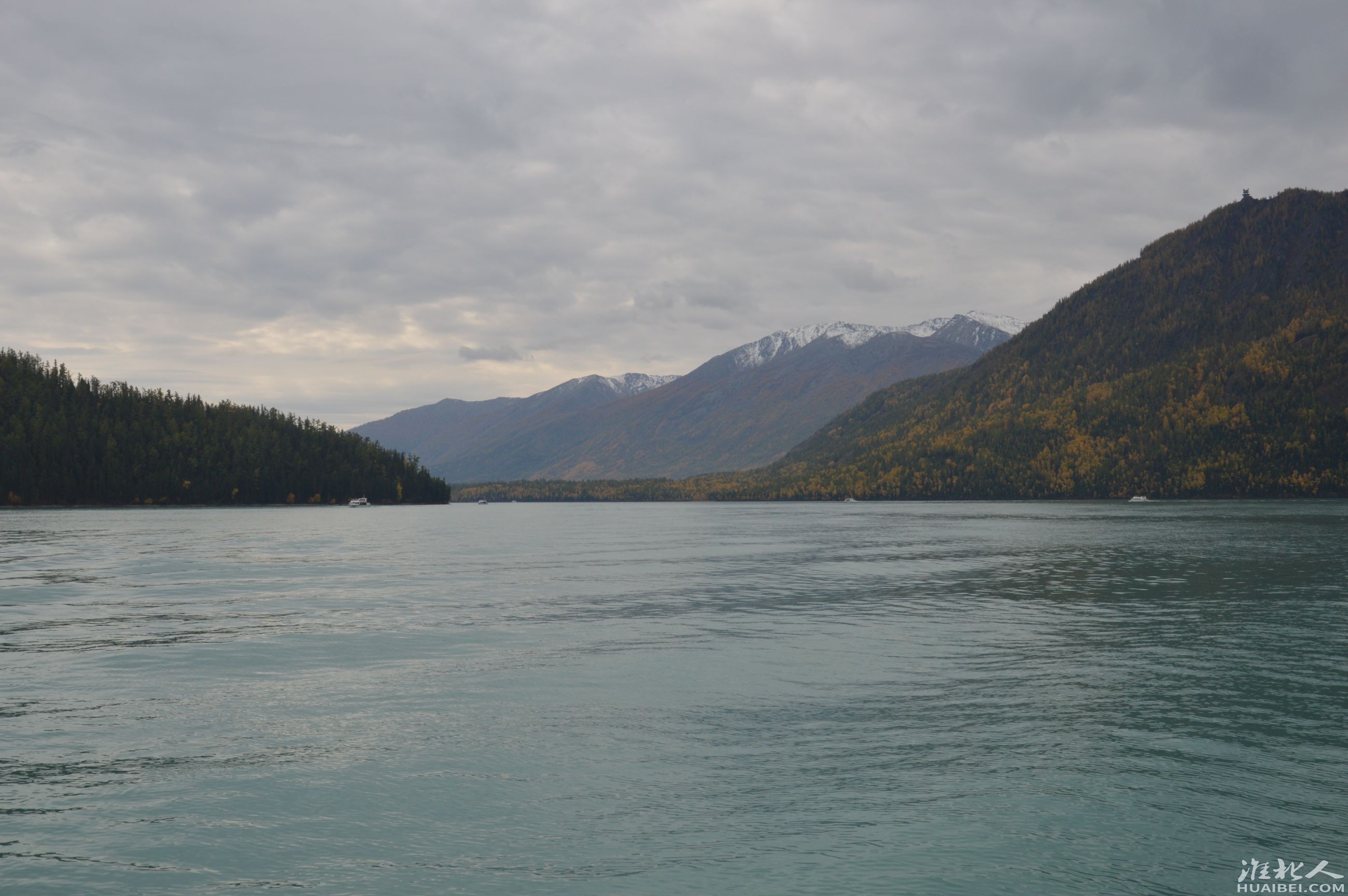 DSC_2248.JPG