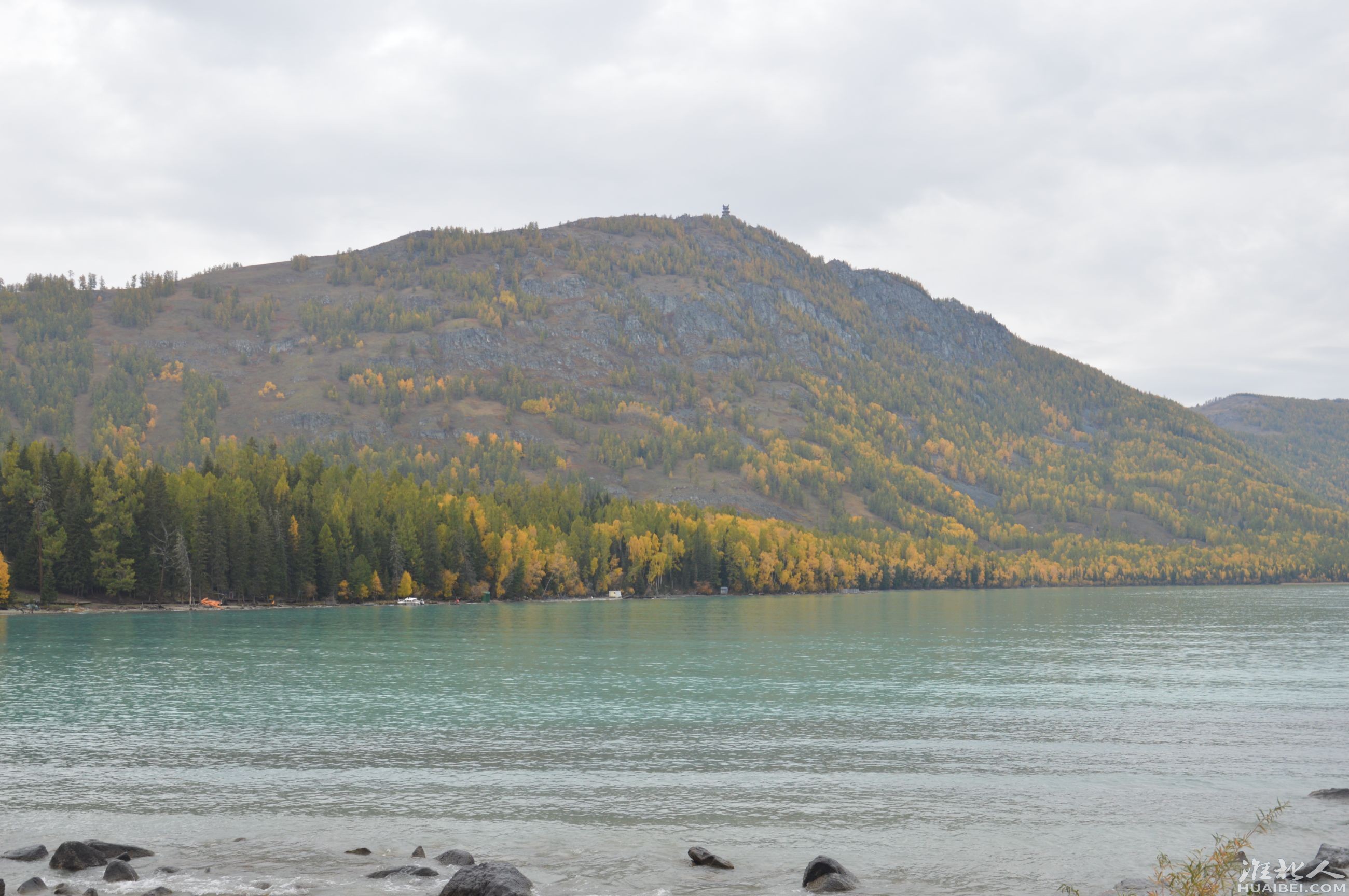 DSC_2249.JPG