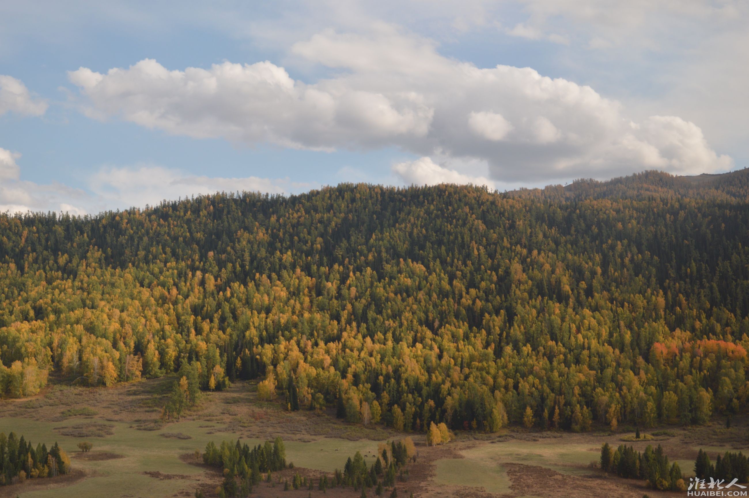 DSC_2240.JPG