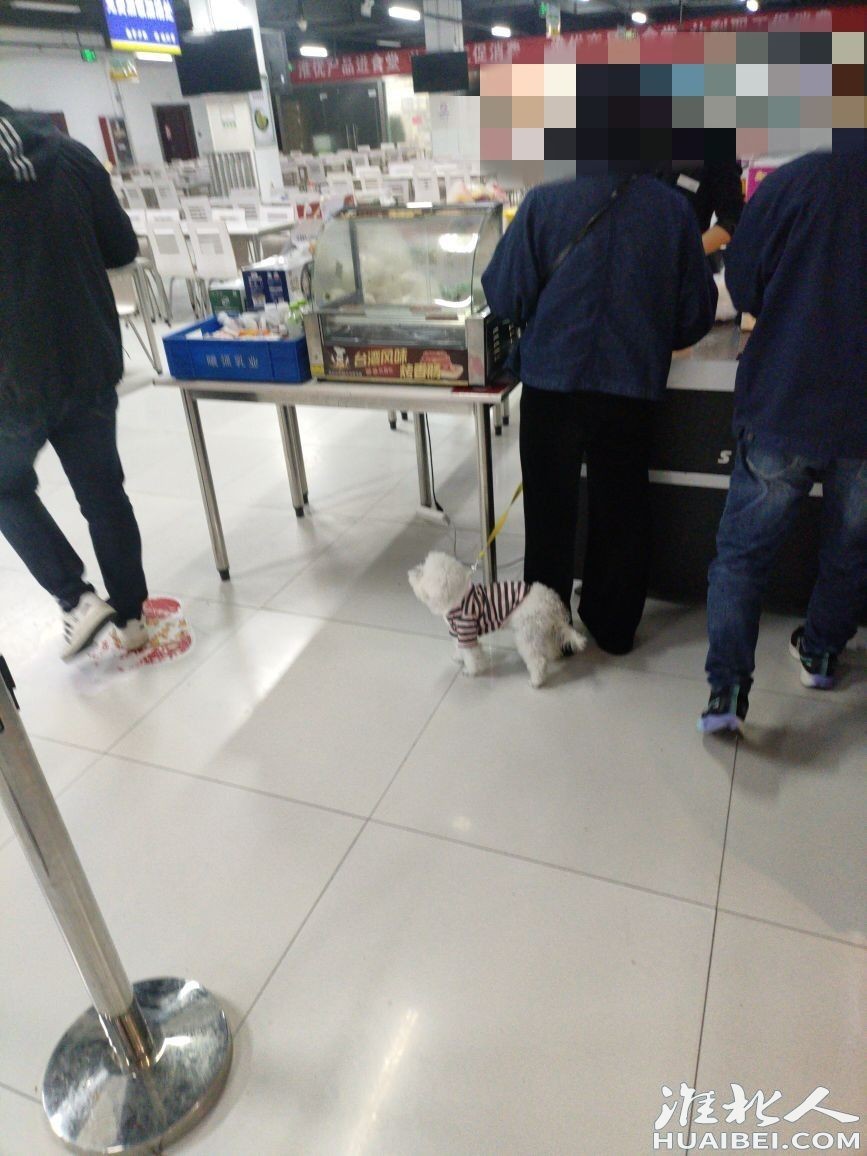 172224p7ppcoxzphoffhox.jpg