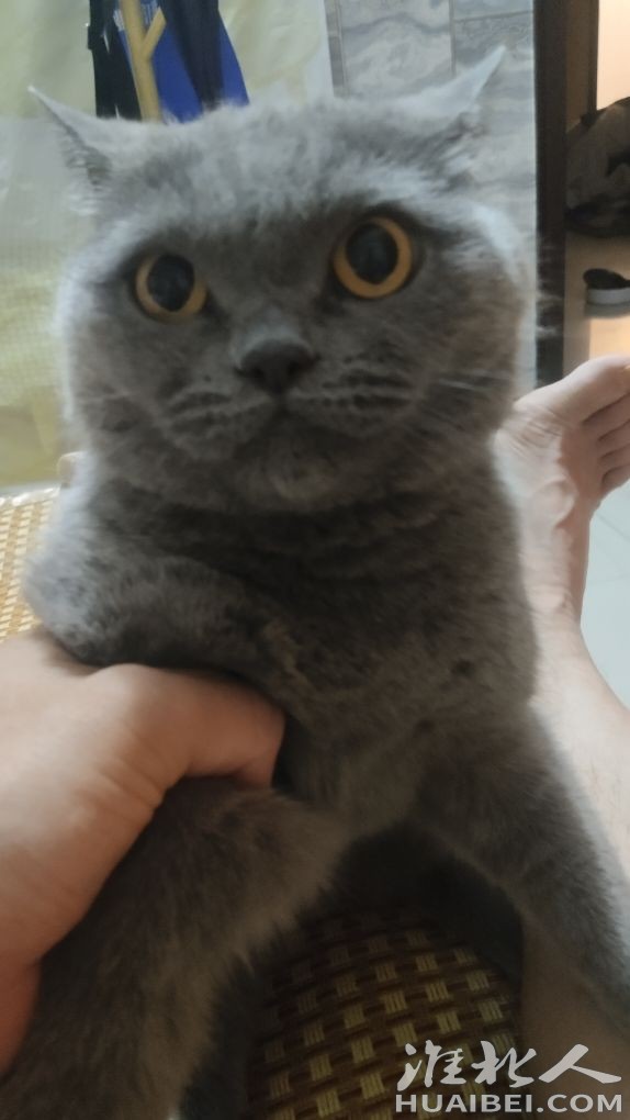 20260606004628front2_0_12685_Fgxd3oJVUsdEtnK6fahobyo_3vzH.jpg