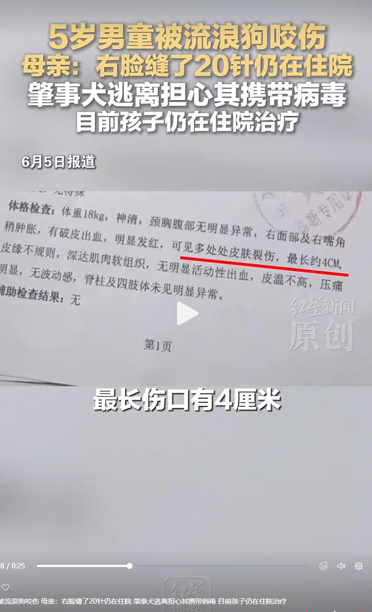 6.png